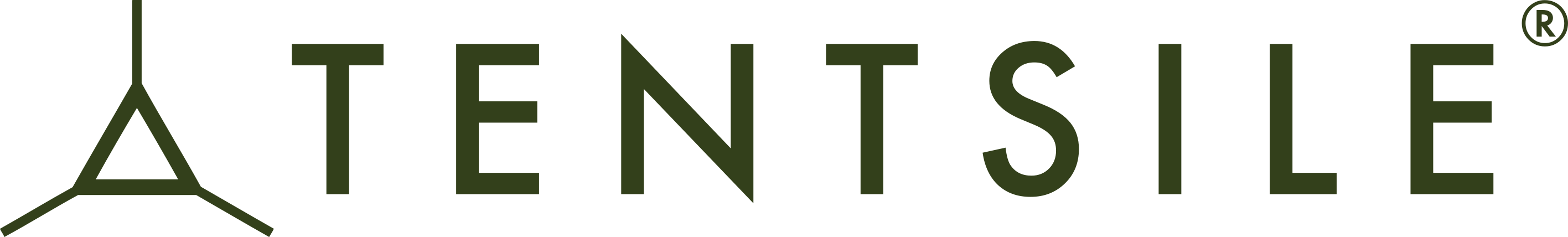 Tentsile